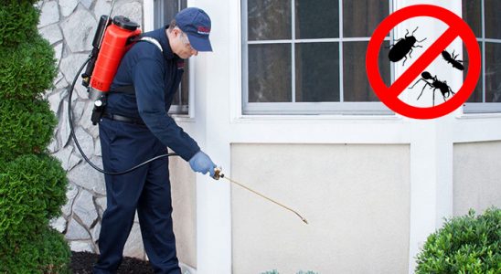 Sumbas Böcek ve Haşere İlaçlama böcek ilaçlama ve haşere kontrolü — ilaclama-tr.com